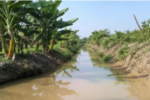 Bán Đất nông nghiệp Hương lộ 2, Châu Thành