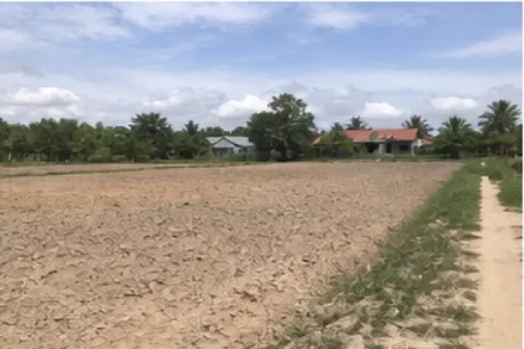 Bán Đất nông nghiệp Đường CMT8, Gò Dầu