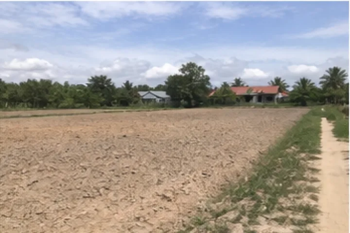 Bán Đất nông nghiệp Đường CMT8, Gò Dầu