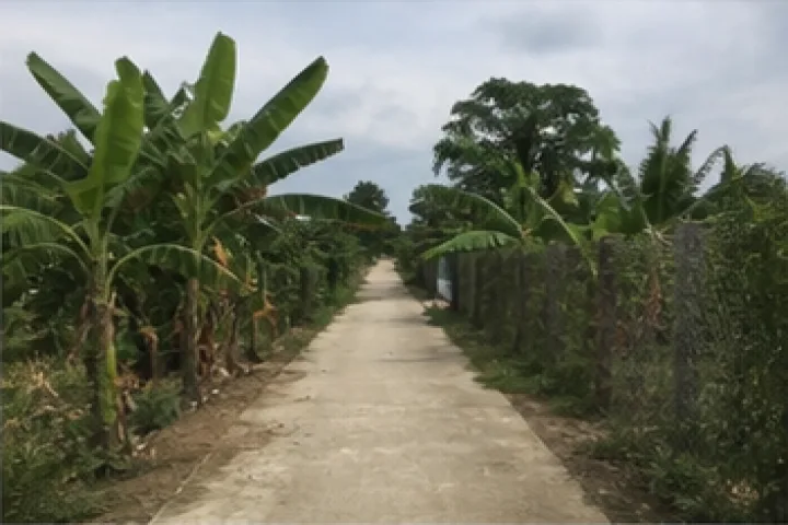 Bán Đất nông nghiệp Đường Nguyễn Chí Thanh, Hòa Thành