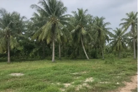 Bán Đất nông nghiệp Đường 30/4, TP. Tây Ninh
