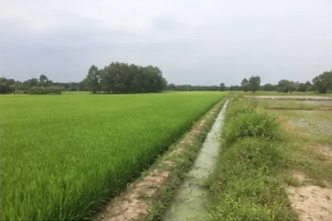 Bán Đất nông nghiệp Đường CMT8, Trảng Bàng