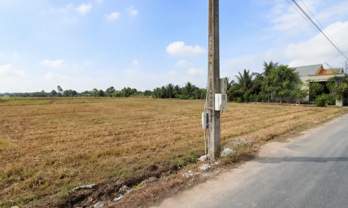 Bán đất nông nghiệp Xã Mộc Hóa, Mộc Hóa
