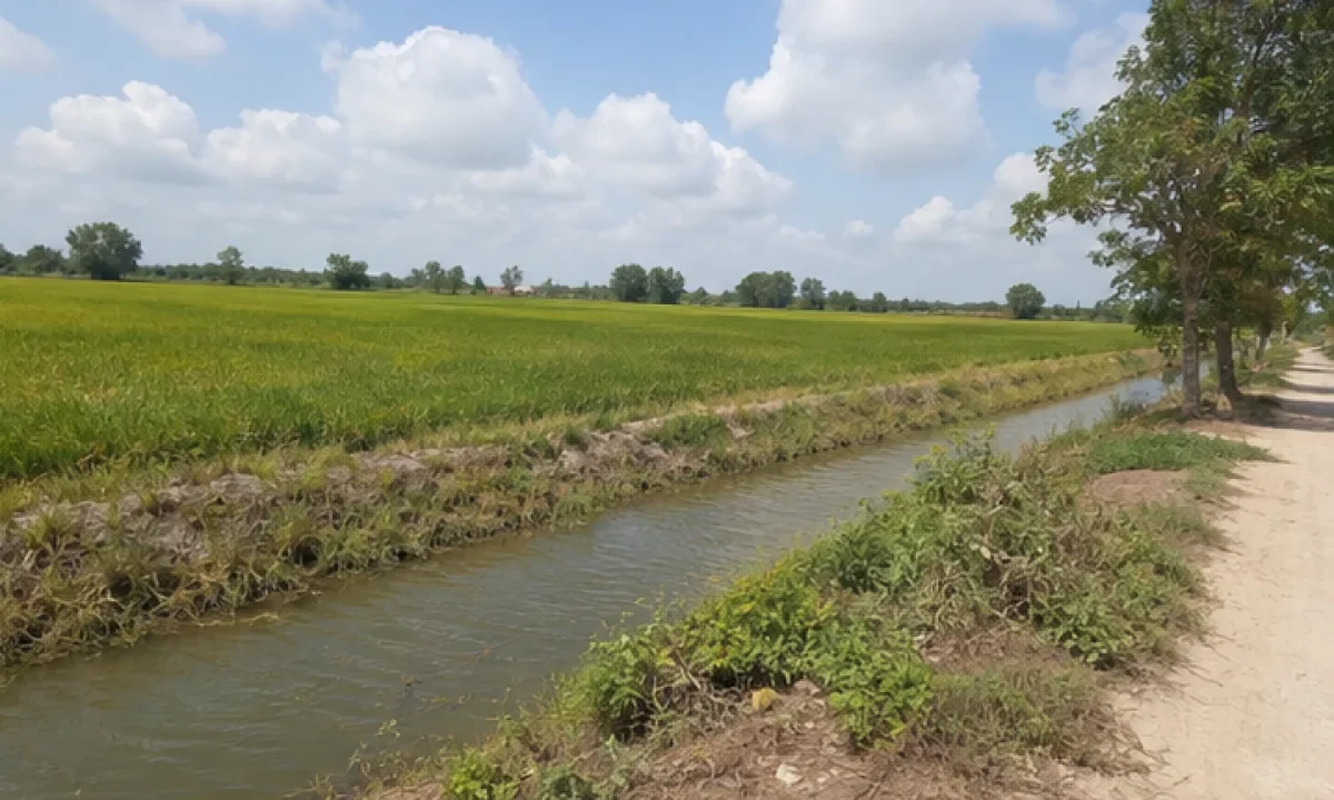 Bán đất nông nghiệp Xã Khánh Hưng, Vĩnh Hưng