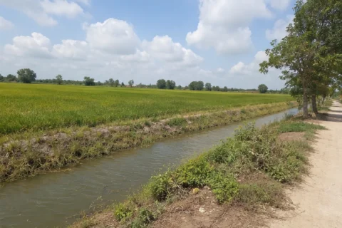 Bán đất nông nghiệp Xã Khánh Hưng, Vĩnh Hưng